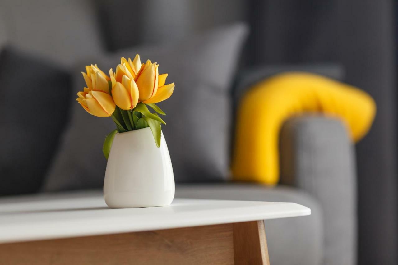Apartment Jurajska Plaza, Prywatne Miejsce Parkingowe , Targi